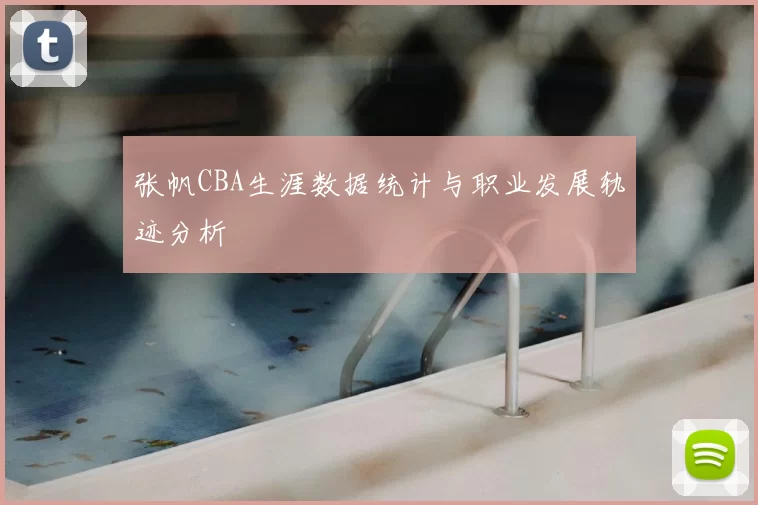 张帆CBA生涯数据统计与职业发展轨迹分析