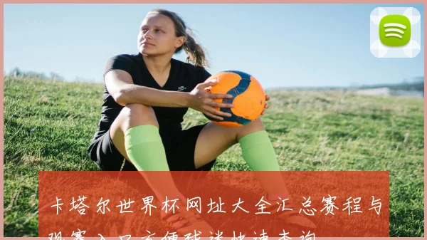 卡塔尔世界杯网址大全汇总赛程与观赛入口方便球迷快速查询