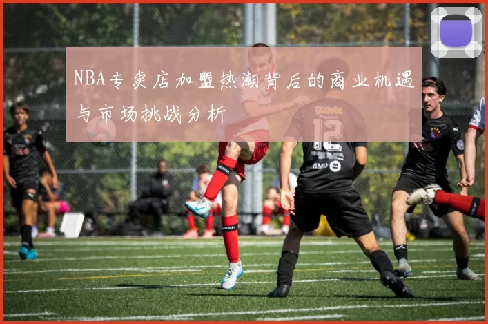 NBA专卖店加盟热潮背后的商业机遇与市场挑战分析