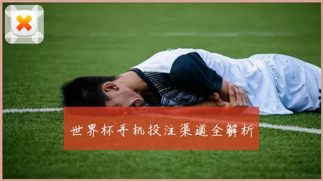 世界杯手机投注渠道全解析