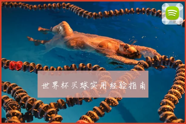 世界杯买球实用经验指南