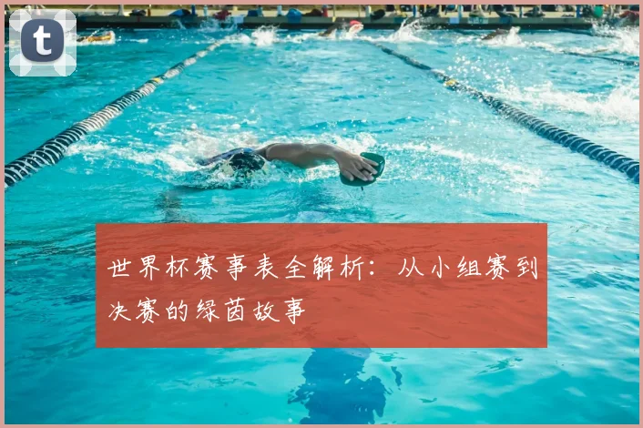 世界杯赛事表全解析:从小组赛到决赛的绿茵故事