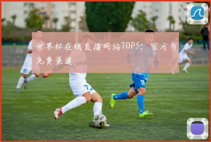 世界杯在线直播网站TOP5:官方与免费渠道