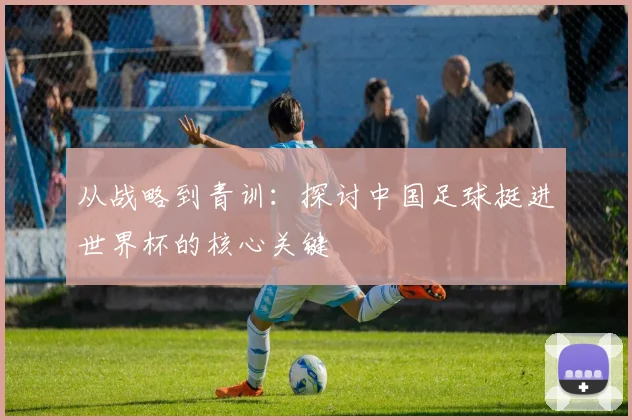 从战略到青训:探讨中国足球挺进世界杯的核心关键