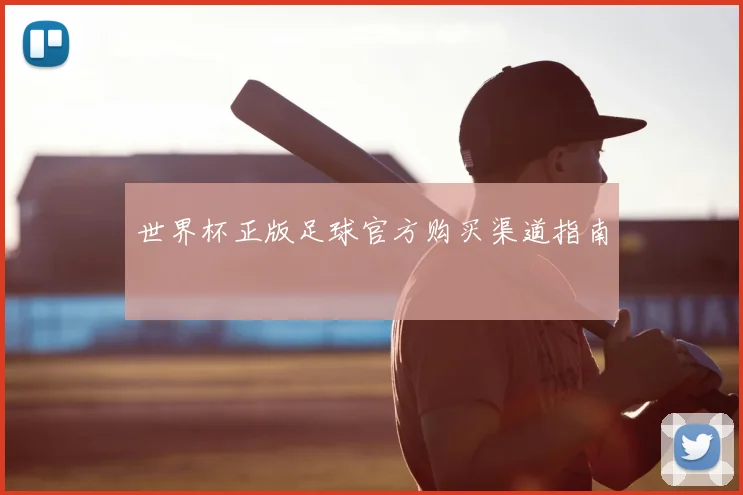 世界杯正版足球官方购买渠道指南