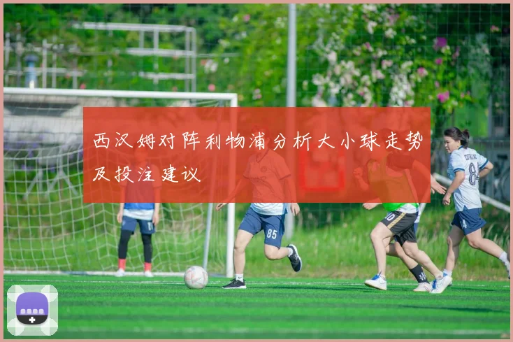 西汉姆对阵利物浦分析大小球走势及投注建议
