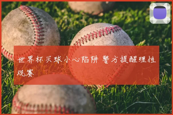 世界杯买球小心陷阱 警方提醒理性观赛