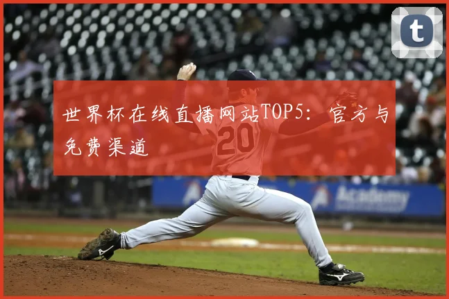 世界杯在线直播网站TOP5:官方与免费渠道