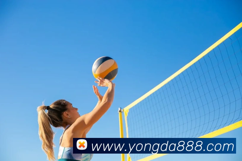 华体会体育平台生态图