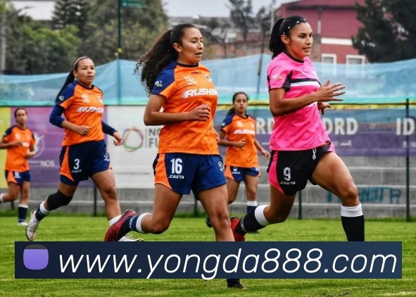 辅助工具 辅助工具